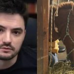 Felipe Neto e cavalo Caramelo - Reprodução/Redes Sociais