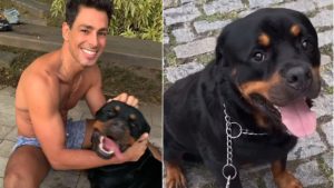 Cauã Reymond e cachorro - Reprodução/Instagram